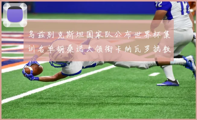 乌兹别克斯坦国家队公布世界杯集训名单胡桑诺夫领衔卡纳瓦罗执教