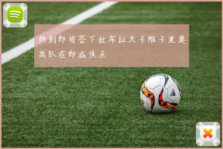 热刺即将签下杜布拉夫卡维卡里奥离队在即成焦点
